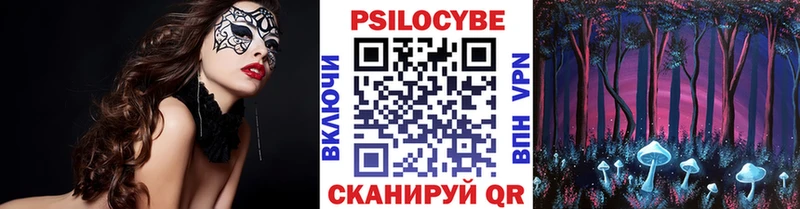 Псилоцибиновые грибы Cubensis  Великий Новгород 