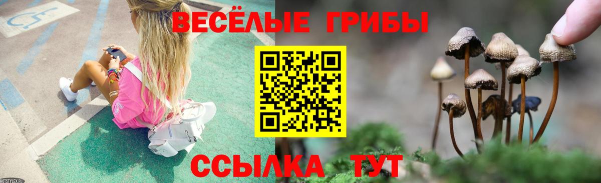 Великий Новгород  Псилоцибиновые грибы MAGIC MUSHROOMS  Галлюциногенные грибы Psilocybe  Вход с VPN 
