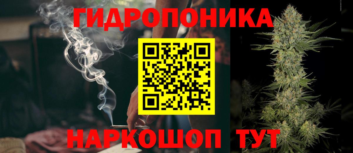 Шишки марихуана MAZAR  Великий Новгород  Бошки Шишки Bruce Banner  Бошки марихуана SATIVA & INDICA 